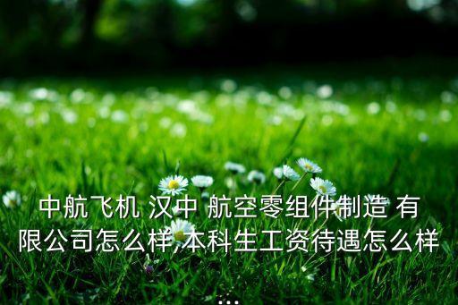 漢中一零一航空電子設(shè)備有限公司