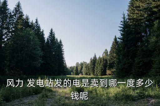 風(fēng)力 發(fā)電站發(fā)的電是賣(mài)到哪一度多少錢(qián)呢