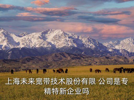 三網(wǎng)融合是哪個公司的,以下哪個不屬于三網(wǎng)融合之一