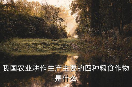 我國農業(yè)耕作生產主要的四種糧食作物是什么