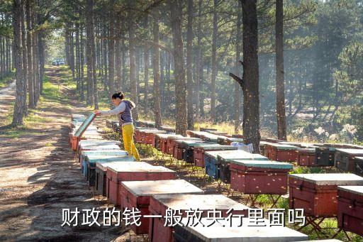  財政的錢一般放央行里面嗎