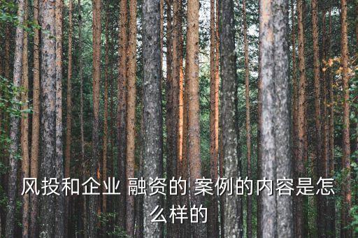 風投和企業(yè) 融資的 案例的內容是怎么樣的