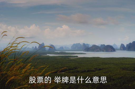  股票的 舉牌是什么意思