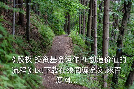 《股權(quán) 投資基金運(yùn)作PE創(chuàng)造價(jià)值的流程》txt下載在線閱讀全文,求百度網(wǎng)...