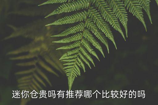 迷你倉貴嗎有推薦哪個比較好的嗎