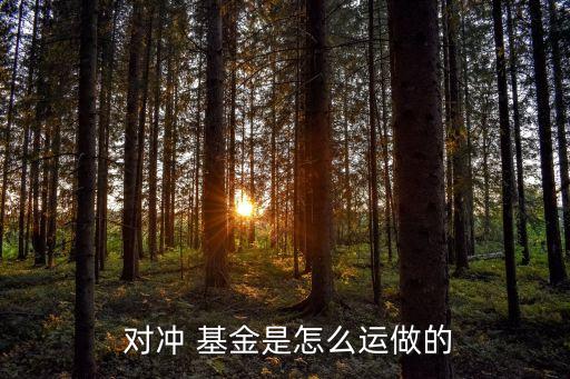  對(duì)沖 基金是怎么運(yùn)做的