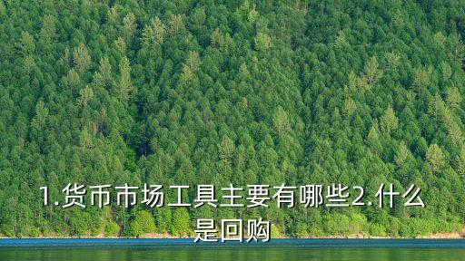 1.貨幣市場(chǎng)工具主要有哪些2.什么是回購(gòu)
