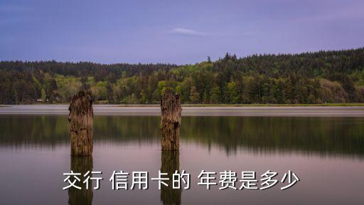 交行 信用卡的 年費是多少