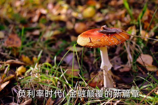 負(fù)利率時代( 金融顛覆的新篇章