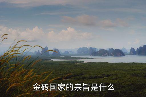 金磚國(guó)家的宗旨是什么