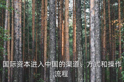 國(guó)際資本進(jìn)入中國(guó)的渠道、方式和操作流程