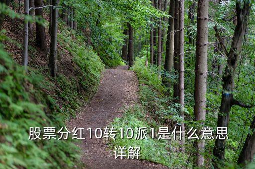 股票10送9轉1什么意思,股票分紅送轉需要什么條件