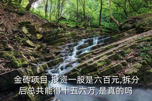 成立金磚國家開發(fā)銀行正當(dāng)其時,金磚國家開發(fā)銀行在哪里成立
