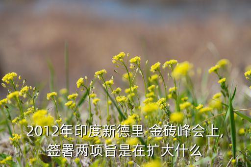 2012年印度新德里 金磚峰會(huì)上,簽署兩項(xiàng)旨是在擴(kuò)大什么