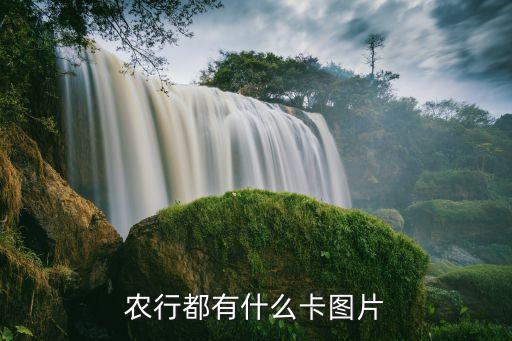 中國紅慈善信用卡額度