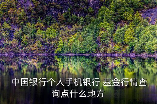 中國(guó)銀行出售的基金凈值