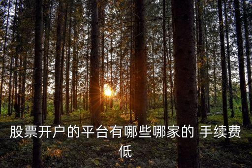 股票開戶的平臺(tái)有哪些哪家的 手續(xù)費(fèi)低