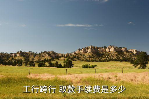 工行跨行 取款手續(xù)費是多少