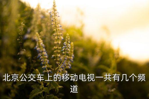 北京公交車上的移動電視一共有幾個(gè)頻道