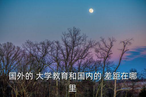國外的 大學教育和國內的 差距在哪里