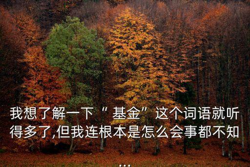 我想了解一下“ 基金”這個(gè)詞語(yǔ)就聽得多了,但我連根本是怎么會(huì)事都不知...