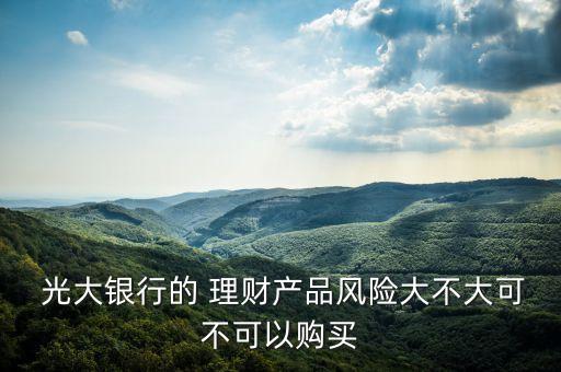  光大銀行的 理財產(chǎn)品風(fēng)險大不大可不可以購買