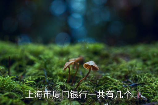 福建海西金融租賃公司,海西金融租賃公司是國(guó)企嗎