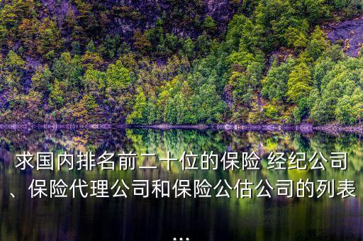 求國內(nèi)排名前二十位的保險 經(jīng)紀(jì)公司、保險代理公司和保險公估公司的列表...