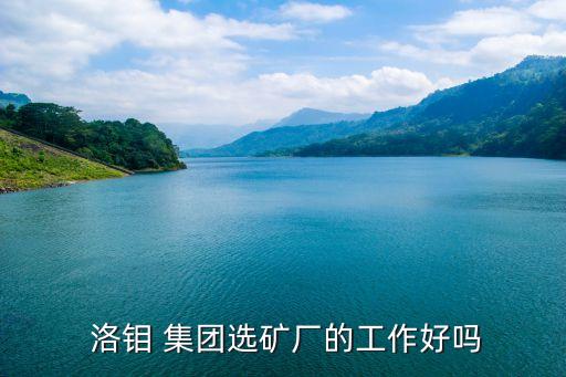  洛鉬 集團選礦廠的工作好嗎