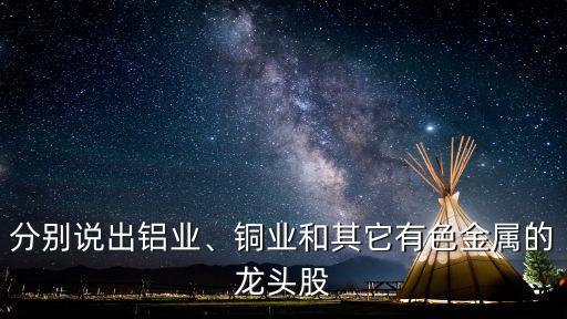 分別說出鋁業(yè)、銅業(yè)和其它有色金屬的龍頭股