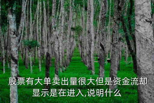  股票有大單賣出量很大但是資金流卻顯示是在進(jìn)入,說明什么