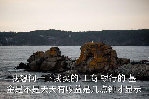 我想問一下我買的 工商 銀行的 基金是不是天天有收益是幾點鐘才顯示