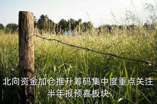 北向資金加倉(cāng)推升籌碼集中度重點(diǎn)關(guān)注半年報(bào)預(yù)喜板塊