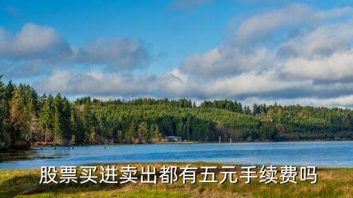 拋出股票收費(fèi),股票怎么收費(fèi)怎么計(jì)算了