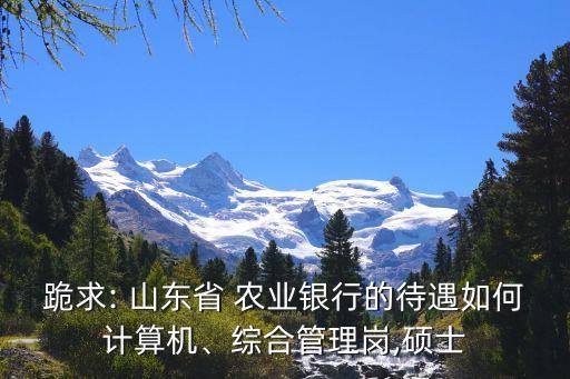 跪求: 山東省 農(nóng)業(yè)銀行的待遇如何計(jì)算機(jī)、綜合管理崗,碩士