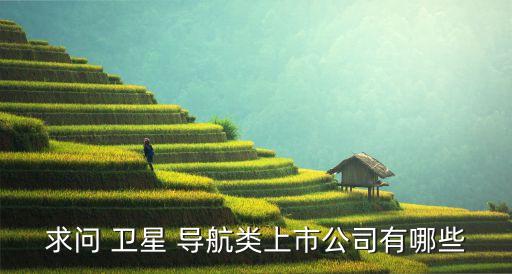 求問(wèn) 衛(wèi)星 導(dǎo)航類(lèi)上市公司有哪些