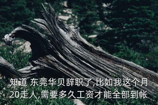 知道 東莞華貝辭職了,比如我這個(gè)月20走人,需要多久工資才能全部到帳