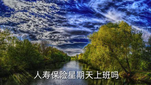 中國人壽客服服務(wù)時間
