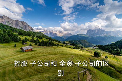 全資控股子公司是什么意思,全資子公司的優(yōu)缺點