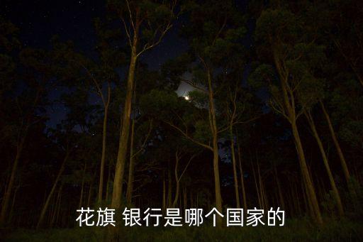 花旗 銀行是哪個國家的