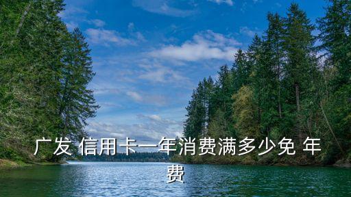  廣發(fā) 信用卡一年消費(fèi)滿多少免 年費(fèi)