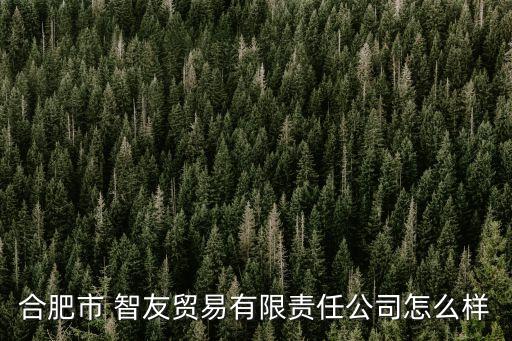 合肥市 智友貿(mào)易有限責任公司怎么樣