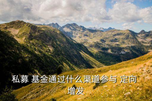 私募 基金通過(guò)什么渠道參與 定向 增發(fā)