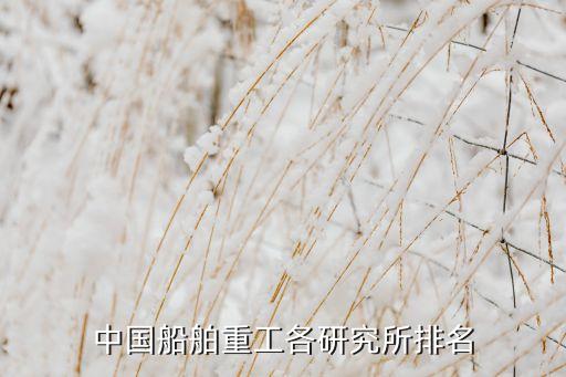 中國(guó)船舶重工各研究所排名