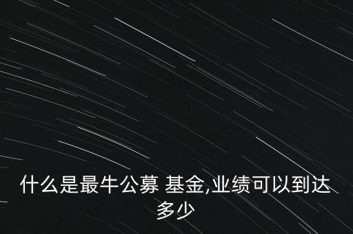 什么是最牛公募 基金,業(yè)績可以到達(dá)多少