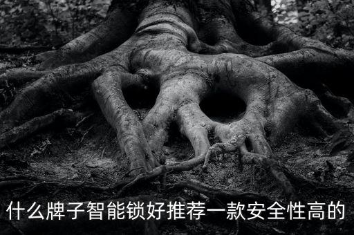 三邊安全顧問(wèn)有限公司,北京雁南燕北安全顧問(wèn)有限公司