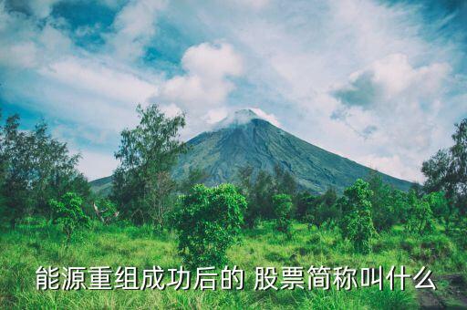 中強(qiáng)能源股票,廣匯能源股票