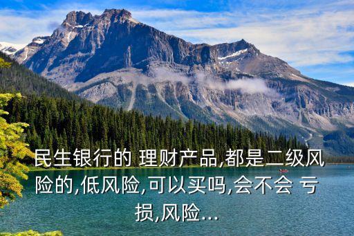  民生銀行的 理財產(chǎn)品,都是二級風(fēng)險的,低風(fēng)險,可以買嗎,會不會 虧損,風(fēng)險...