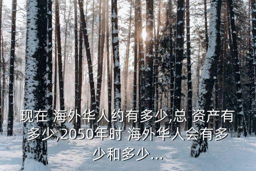 現(xiàn)在 海外華人約有多少,總 資產有多少,2050年時 海外華人會有多少和多少...