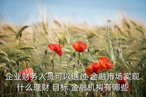公司金融目標(biāo)的幾種觀點(diǎn),對(duì)公司金融目標(biāo)的認(rèn)識(shí)